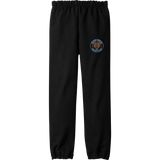 Hazel Park Bears Youth Heavy Blend Sweatpant