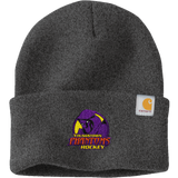 Youngstown Phantoms Carhartt Watch Cap 2.0