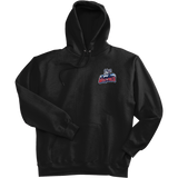 CT Wolfpack South Super Heavyweight Fleece Hoodie