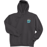 Atlantic City Seals Super Heavyweight Fleece Hoodie